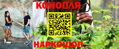 ГАЛЛЮЦИНОГЕННЫЕ ГРИБЫ Аргун