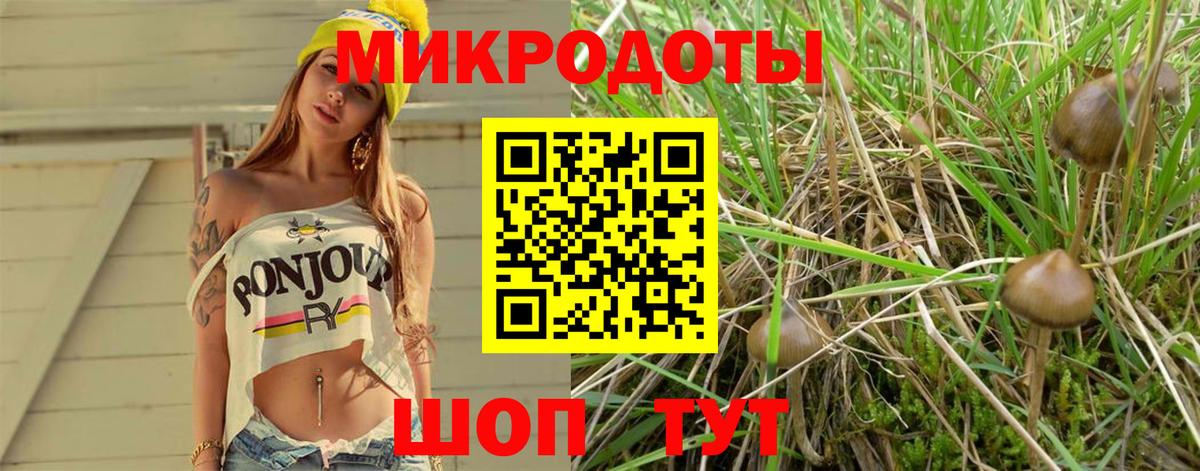 Балабаново  Галлюциногенные грибы Psilocybine cubensis  где продают наркотики  Псилоцибиновые грибы Cubensis  Вход с VPN 