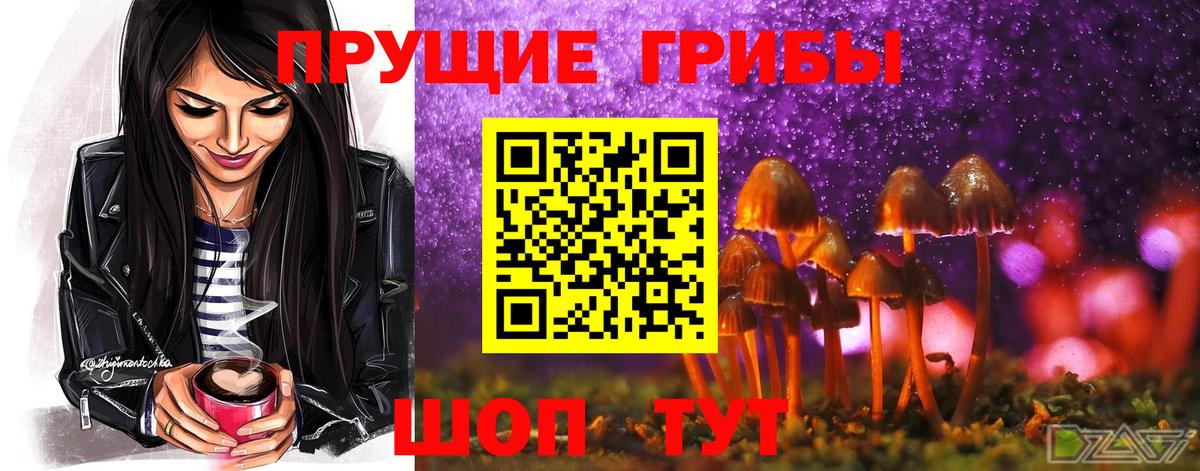 Псилоцибиновые грибы ЛСД Балабаново
